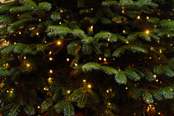 Christmas tree background with Christmas lights hanging garland