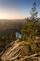 View from top of rock with little tree in the landscape. View to the landscape.