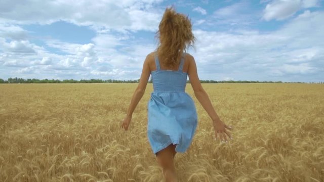 Rear view of young carefree woman in dress. She run in through field touching with hand wheat ears, enjoying freedom and calmness on rural nature in summer. Slowmotion.