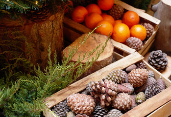 Oranges, tangerines and Christmas tree cones as New Year tree decoration