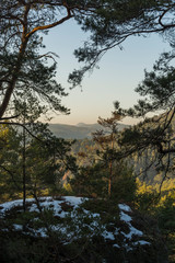 View from forest through branches of trees. Large area overgrown by forest.