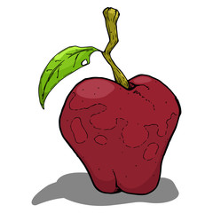 Apple icon. Vector illustration of a fruit apple. Hand drawn apple.