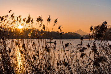 Sunset above pond (lake) and shining beams illuminated dried grass.