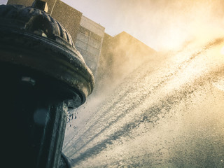 A Fire Hydrant spraying on people on a hot day in new york city
