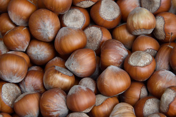 hazelnuts on wooden background