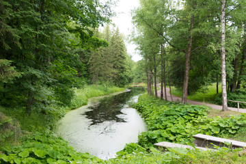 Naklejka premium lake in Pavlovsk Park near St. Petersburg