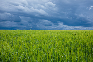 Stormy sky over green field in Bavaria Germany