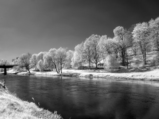 surreal infrared landscape. white trees in the background