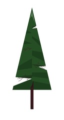 Forest spruce. single icon in flat style.