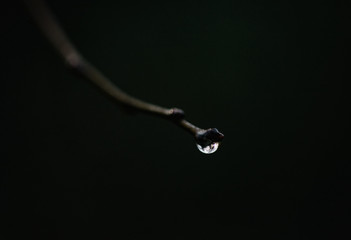 drop of water