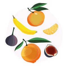 Orange figs banana vector on white background fruit set