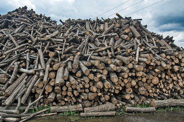 Firewood in households