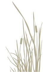 Silhouette of Reed Bush