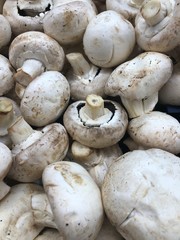 fresh mushrooms on a cutting board