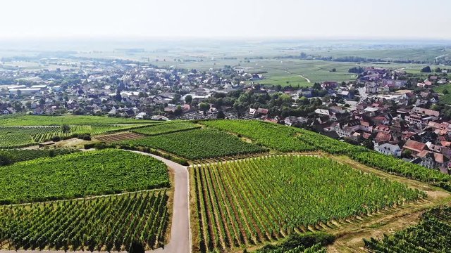 360&deg; drone view over the vineyards of Alsace, France with view of the Town of Ribeauvill&eacute;