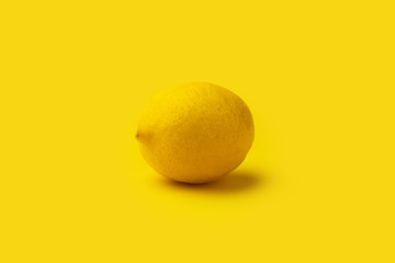 lemon citrus fruit on a yellow background