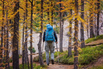 Fototapeta premium Hike in autumn season