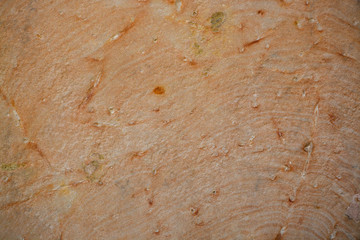 Beautiful vintage background. Abstract grunge decorative stucco wall texture.