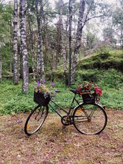 Nordic old bicycle