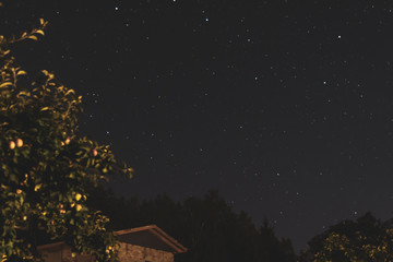 Fototapeta premium Stars in summert night sky