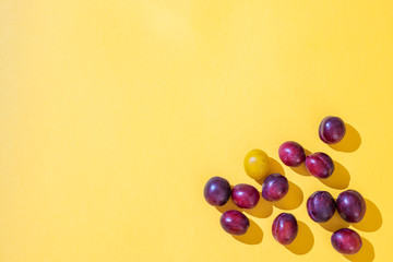 Homemade blue plums pattern with one yellow plum on yellow background. Square fruit. Fall concept. Autumn background. Flat lay, top view, copy space