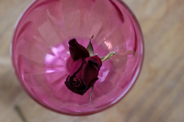 Pink cup with single red dried rose