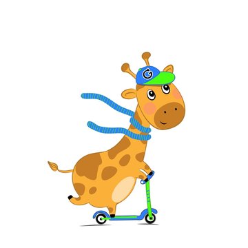 Vector illustration of a small cute giraffe on a scooter isolated on white background. Children's print on clothes, greeting card, party invitation.