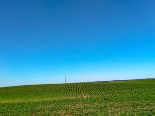 green field of agriculture with blue sky