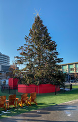 Christmas tree in a square and a few deck chairs next to it