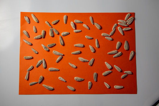 Sunflower seeds on a gradient orange and red background