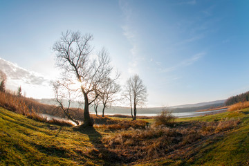 colorful orange autumn on a forest lake on a sunny day
