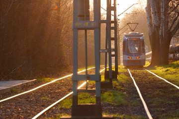city trams in rays of the sunset soft bright back-light sun, glare on the wires, trams and rails....