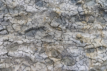 cracks in the clay soil