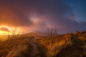 morning in the Bieszczady National Park