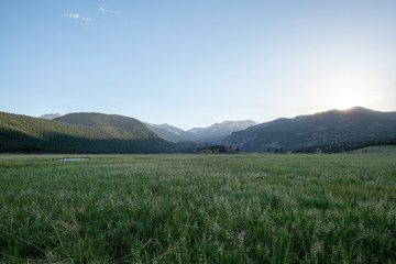 Meadow at Rocky Mountain National Park