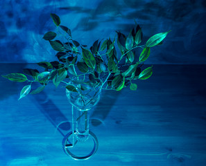  Branches with green leaves in a modern vase on a dark blue background. Interior Design.