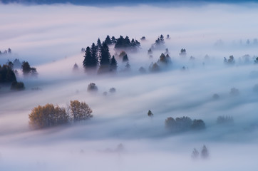 Fog in a mountain valley in the Pieniny