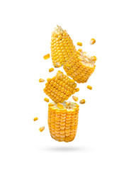 corn on white background