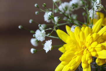 ユリオプスデージーとカスミソウ