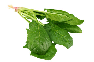 spinach leaves isolate on white background. Healthy food.