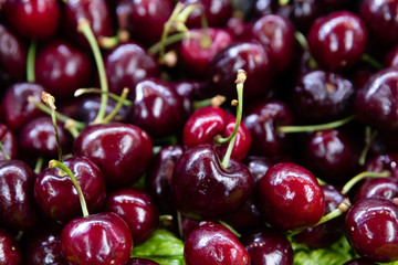 dIVERSAS FRUTAS MERCADO MUNICIPAL