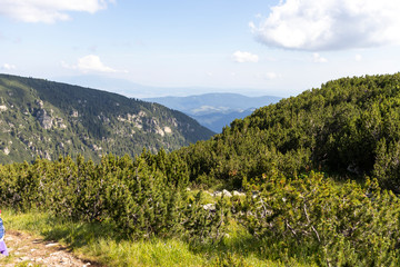 Green hills around The Camel peak, Rila Mountain, Bulgaria