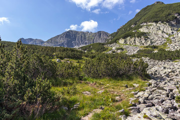 The Camel (Kamilata) pea at Rila Mountain, Bulgaria