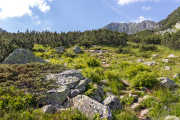 The Camel (Kamilata) pea at Rila Mountain, Bulgaria