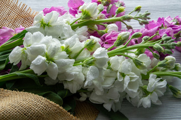 Stock bouquet