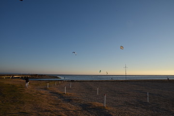 Mare