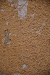Muro