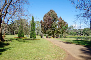 National Kandawgyi Gardens