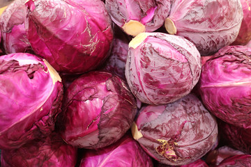Fototapeta na wymiar Red cabbages