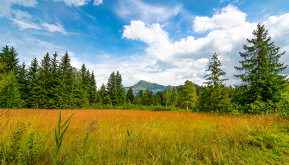 Hochmoor am Schwarzsee bei Kitzbühel